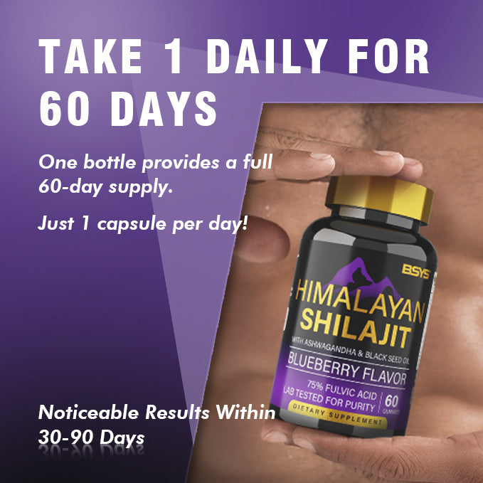 BSYS SHILAJIT GUMMIES 60 GUMMIES 600 BOOST