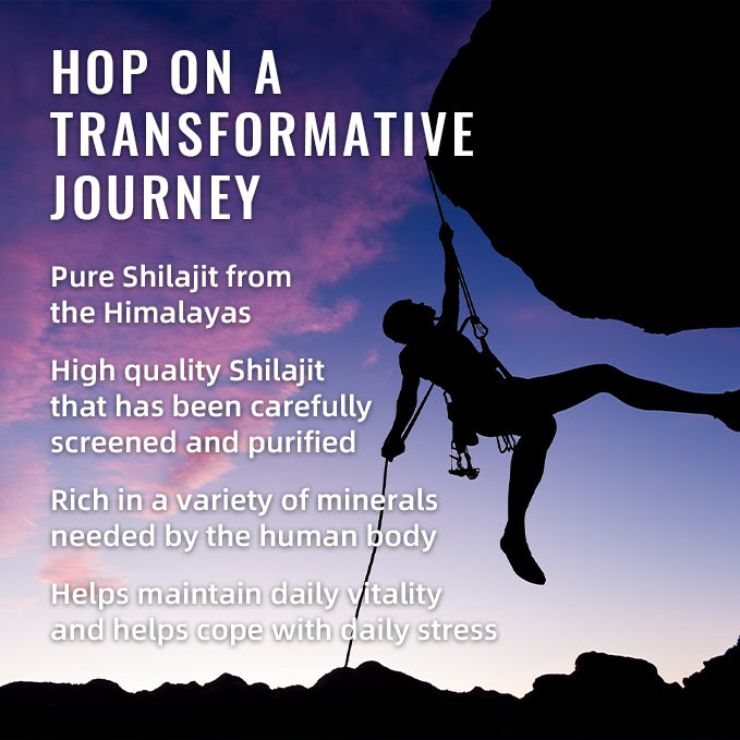 BSYS SHILAJIT GUMMIES 60 GUMMIES 600 BOOST